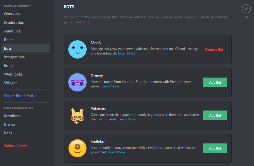 How to add bots to discord?